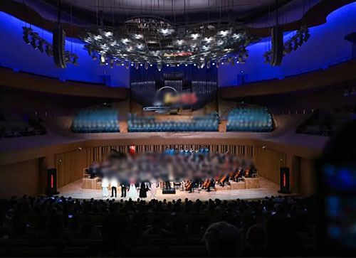 胡杨河市音乐会